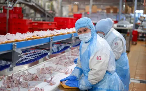 «Куриное царство – Брянск» в 2023 году увеличило производство на 17%